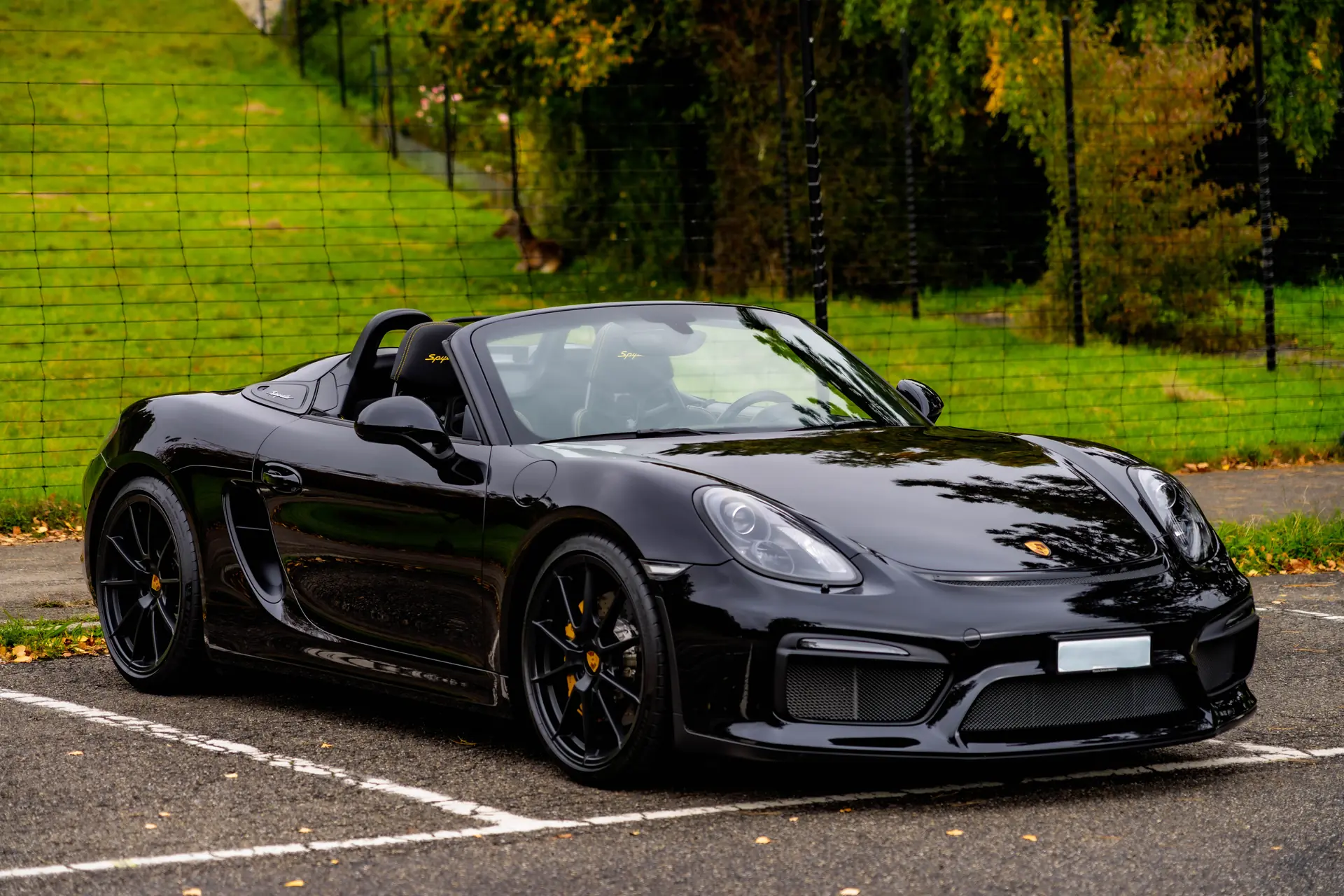 Porsche 718 Boxster Spyder 3.8 — Roadster sportif 375 ch, kilométrage exceptionnel