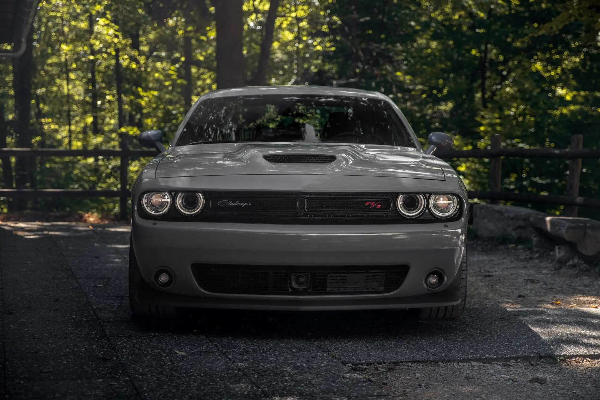 Dodge Challenger 2019 occasion Binningen — 2