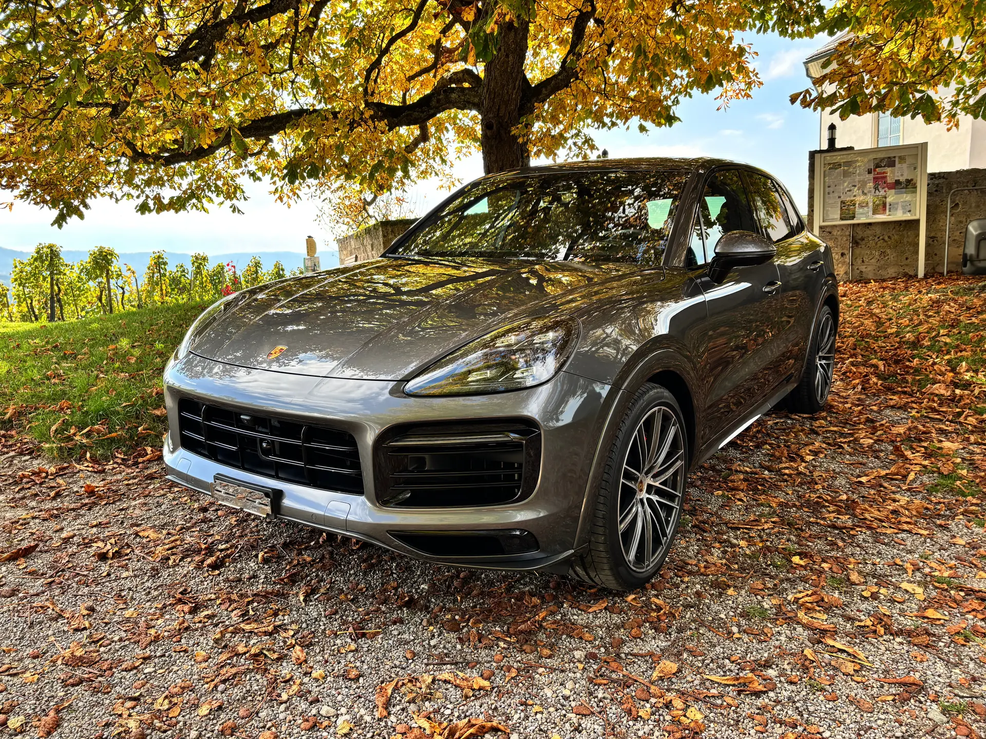 Porsche Cayenne 2022 occasion Wil ZH — 1