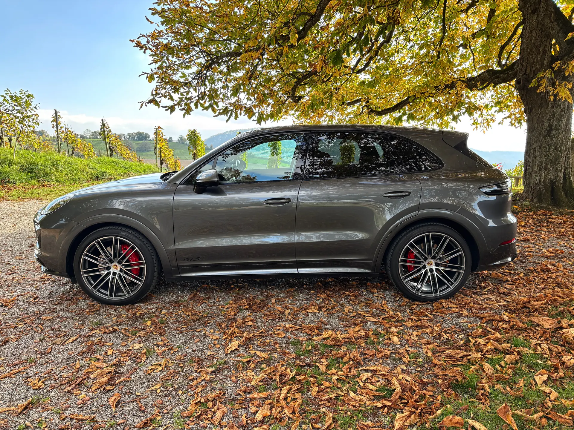Porsche Cayenne 2022 occasion Wil ZH — 2