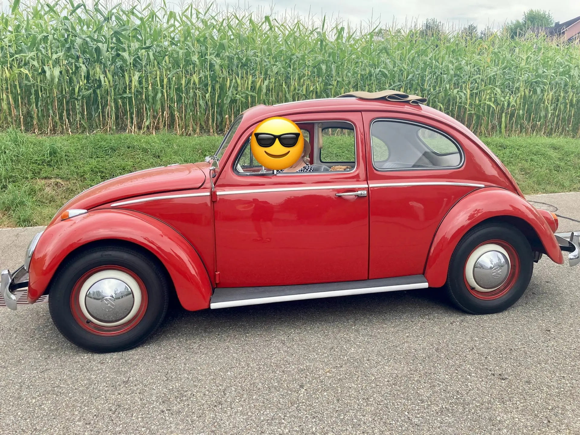 Volkswagen Kafer 1962 occasion Steinhausen — 2