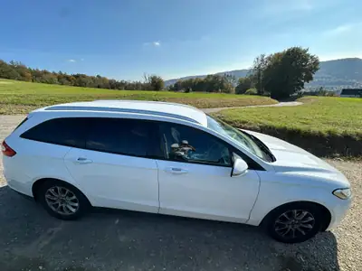 Ford Mondeo 2.0 TDCi Trend PowerShift — Break diesel économe, 133 000 km — rear view