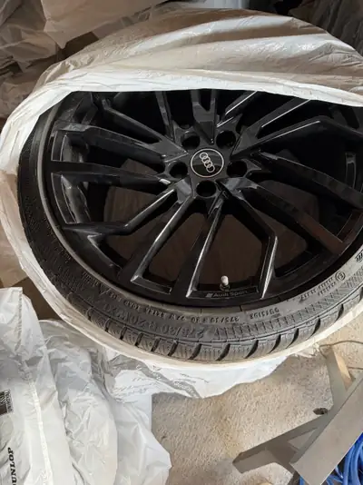 Audi RS5 Coupé 2.9 TFSI — 450 ch, quattro, seulement 21'000 km — Miniatur 16