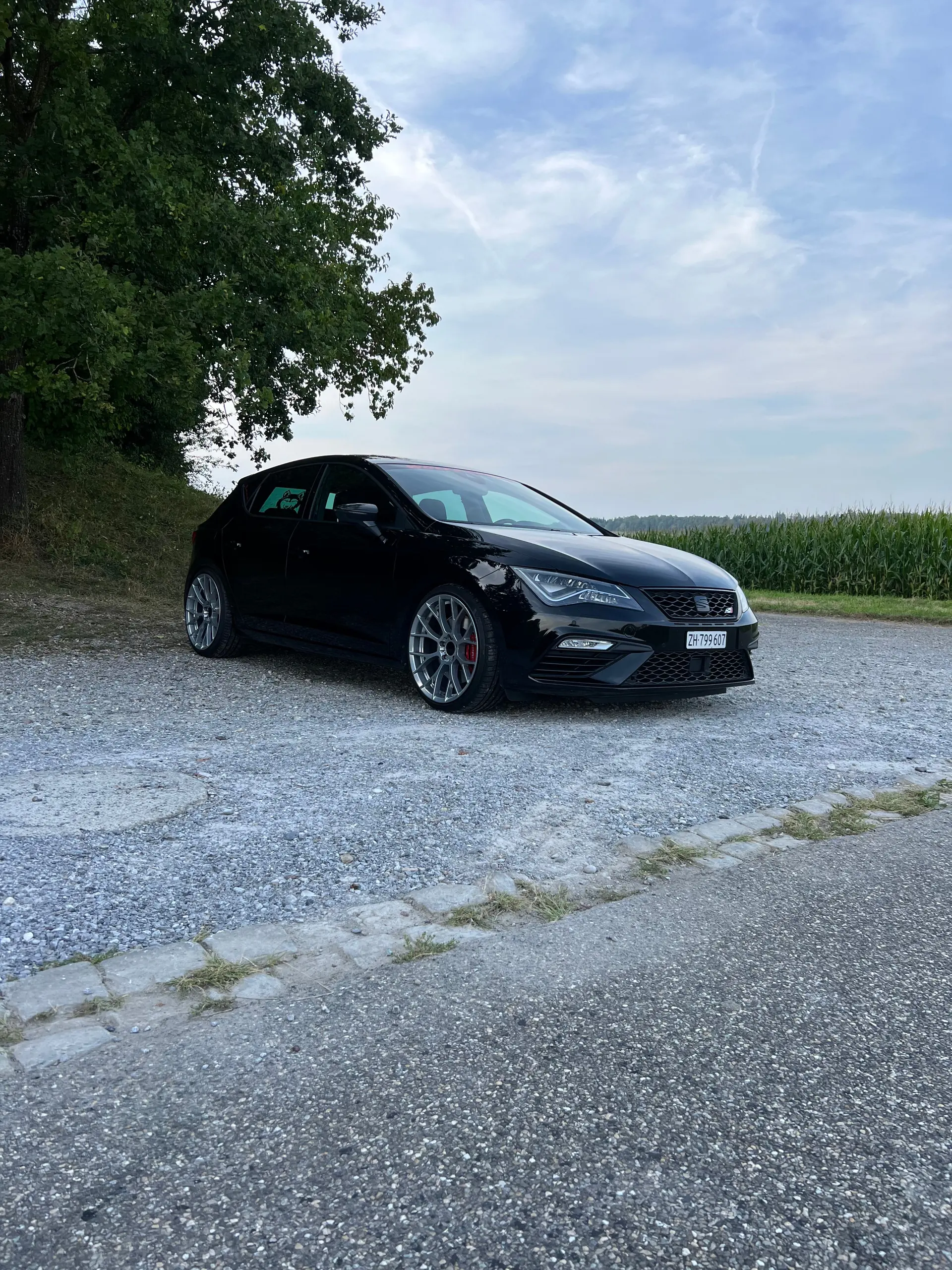 SEAT Leon 2019 occasion Winterthur — 3