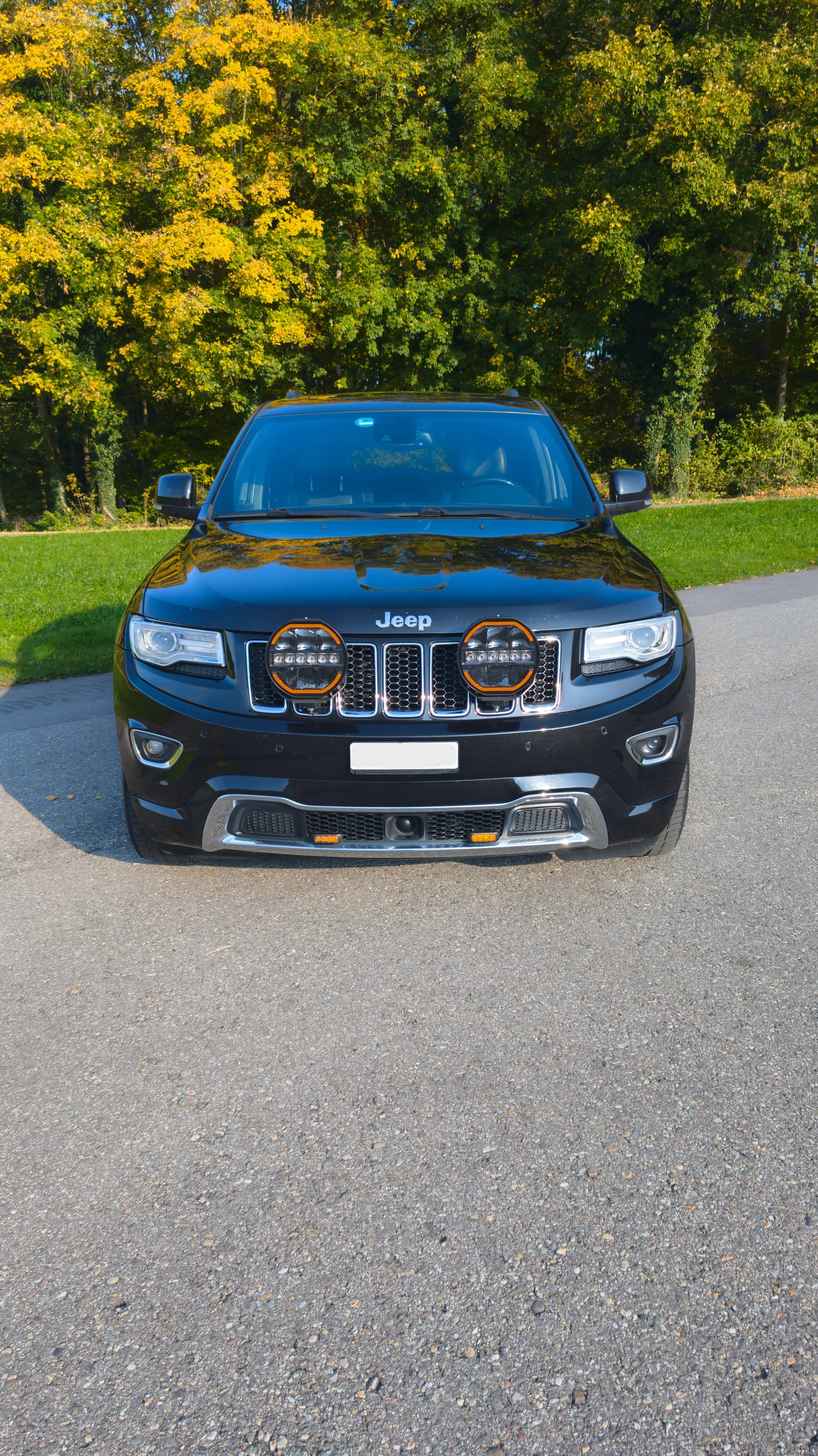 Jeep Grand Cherokee 2015 occasion Pfaffnau — 3