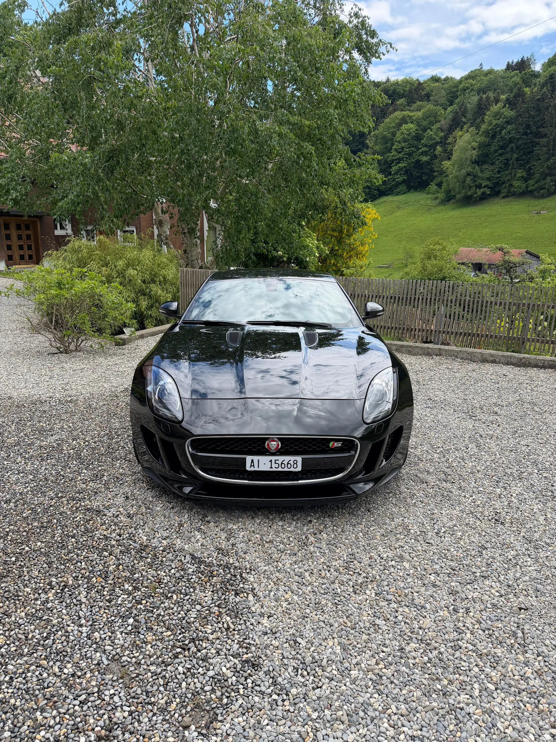 Jaguar F-Type 2014 occasion Oberegg — 2