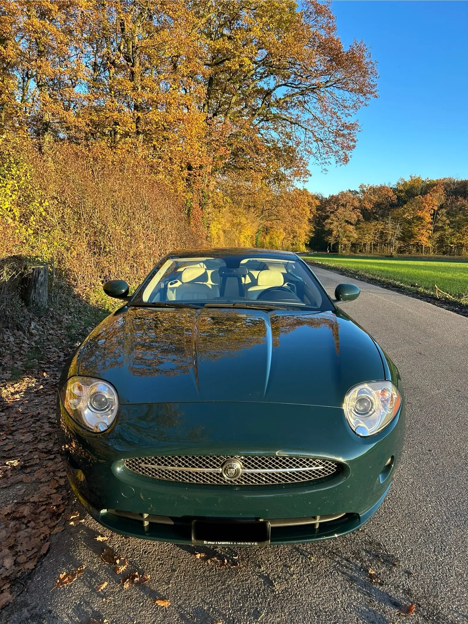 Jaguar XK 4.2 V8 Automatic — Coupé sportif emblématique, 72'000 km seulement
