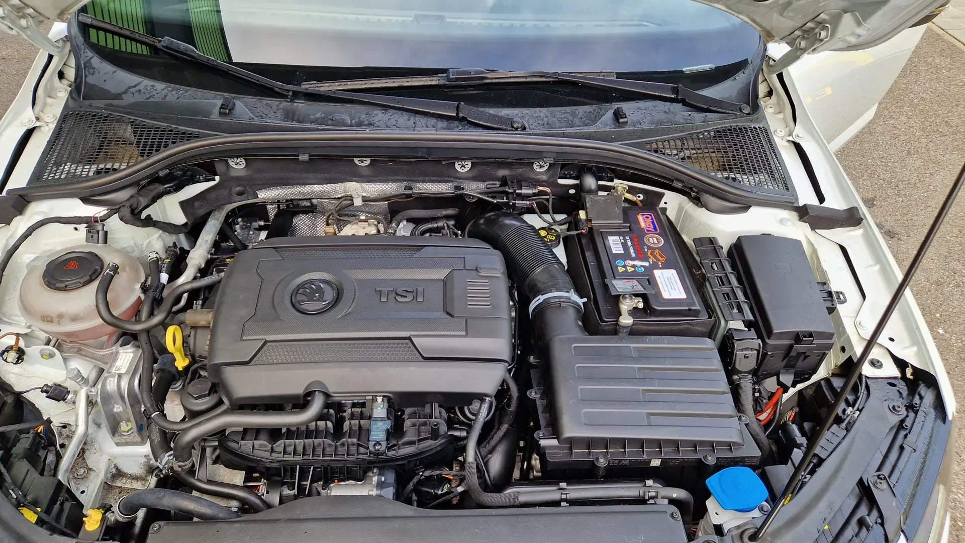 Skoda Octavia 2018 occasion Uetikon am See — 5