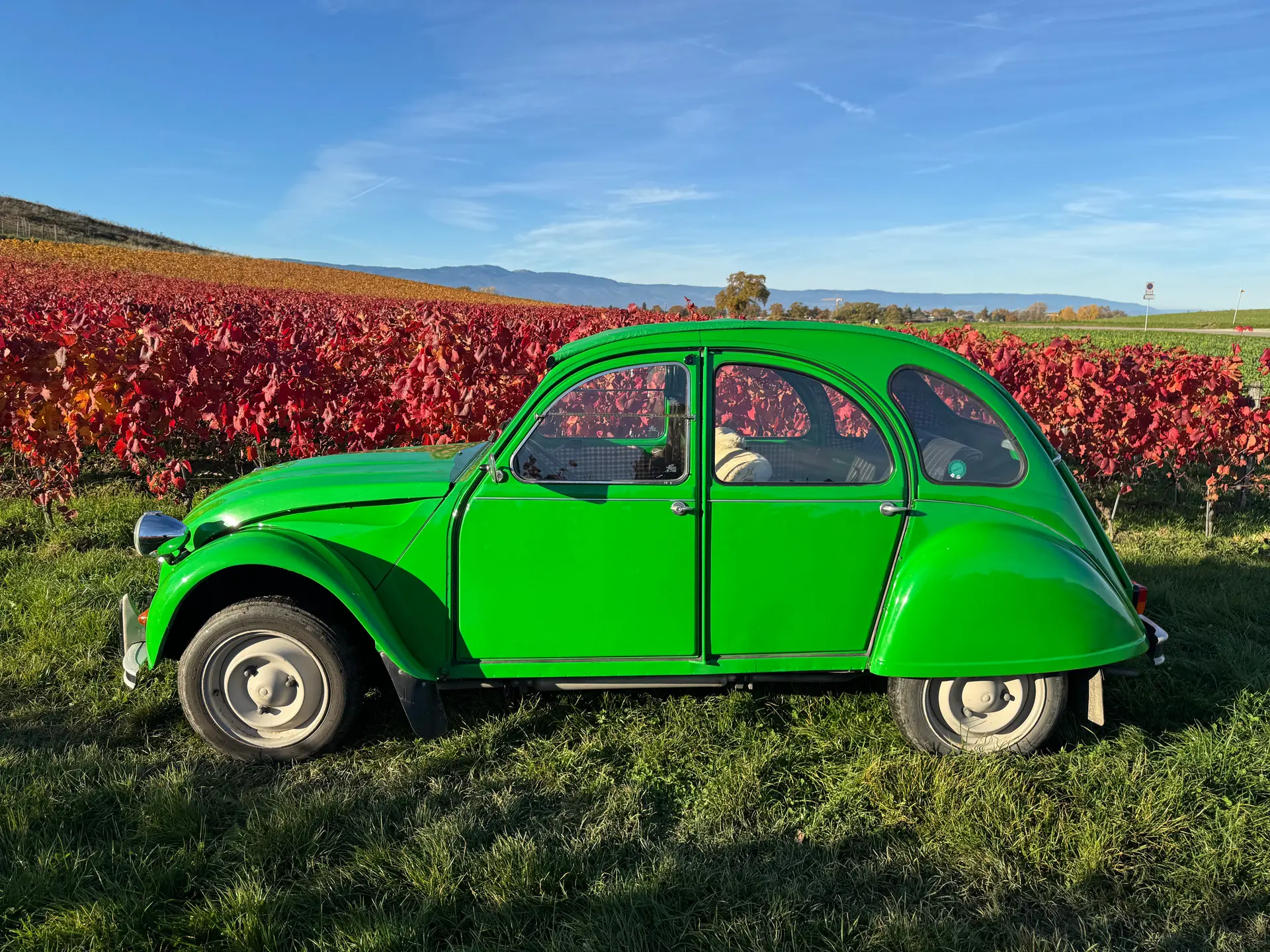 Citroen 2cv 1981 occasion Vésenaz — 2
