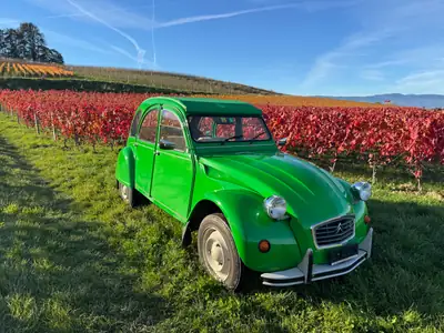 Citroën 2CV6 Spécial — Restauration complète, pneus Collection, prête à rouler — arrière