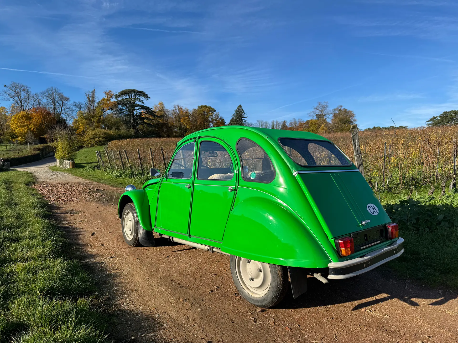 Citroen 2cv 1981 occasion Vésenaz — 4