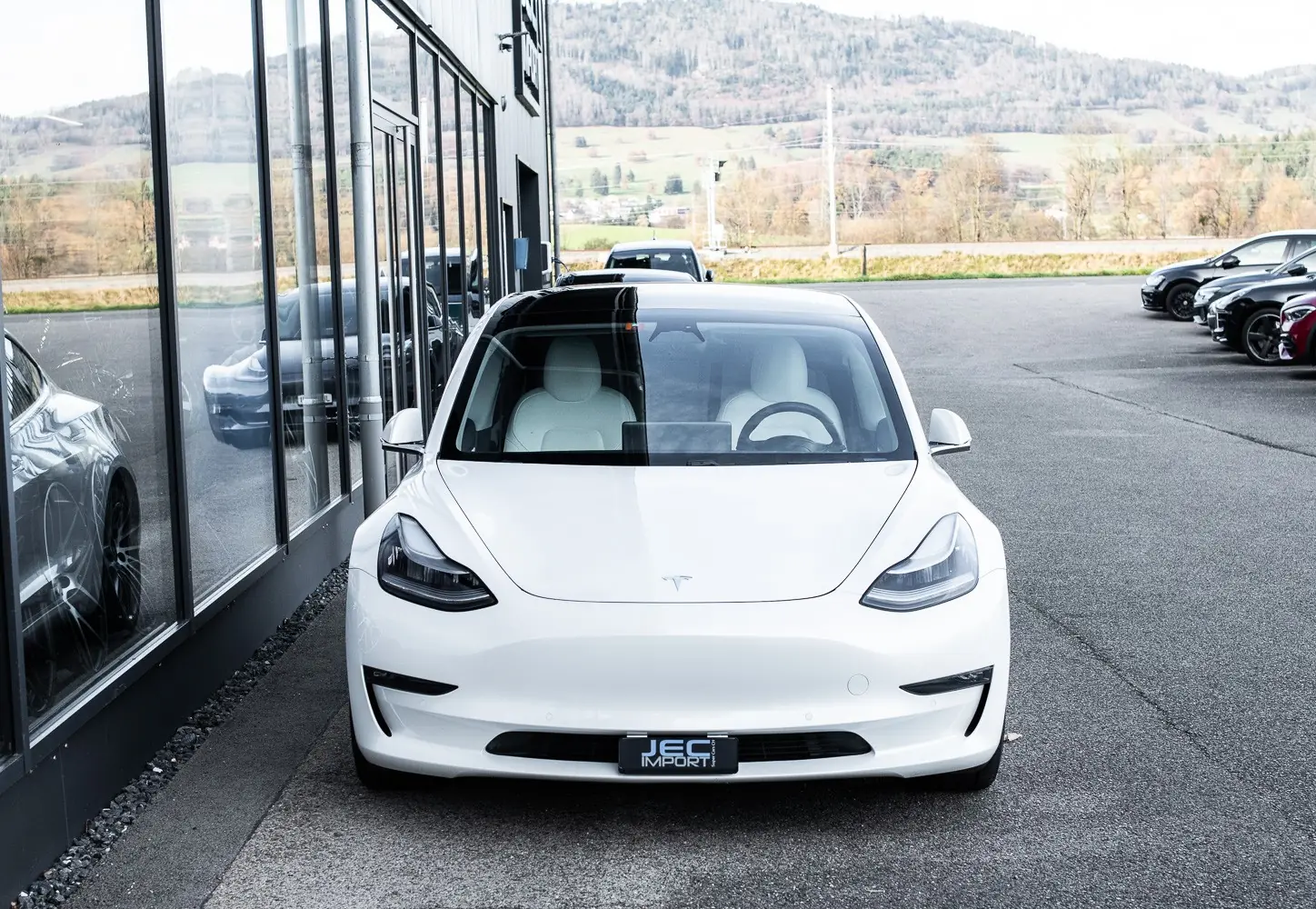 Tesla Model 3 2020 occasion Bassecourt — 3