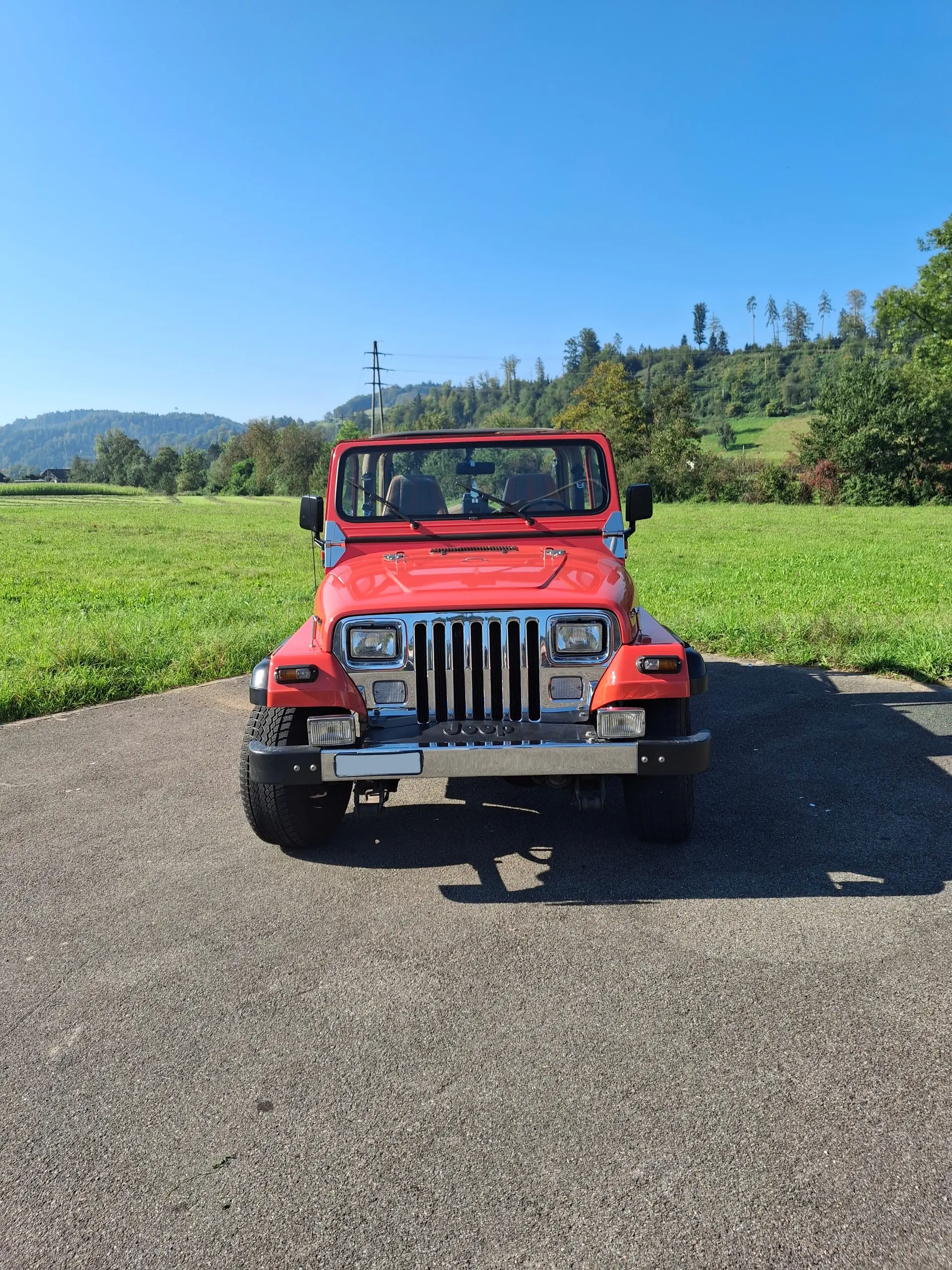 Jeep Wrangler 1995 occasion Boniswil — 2