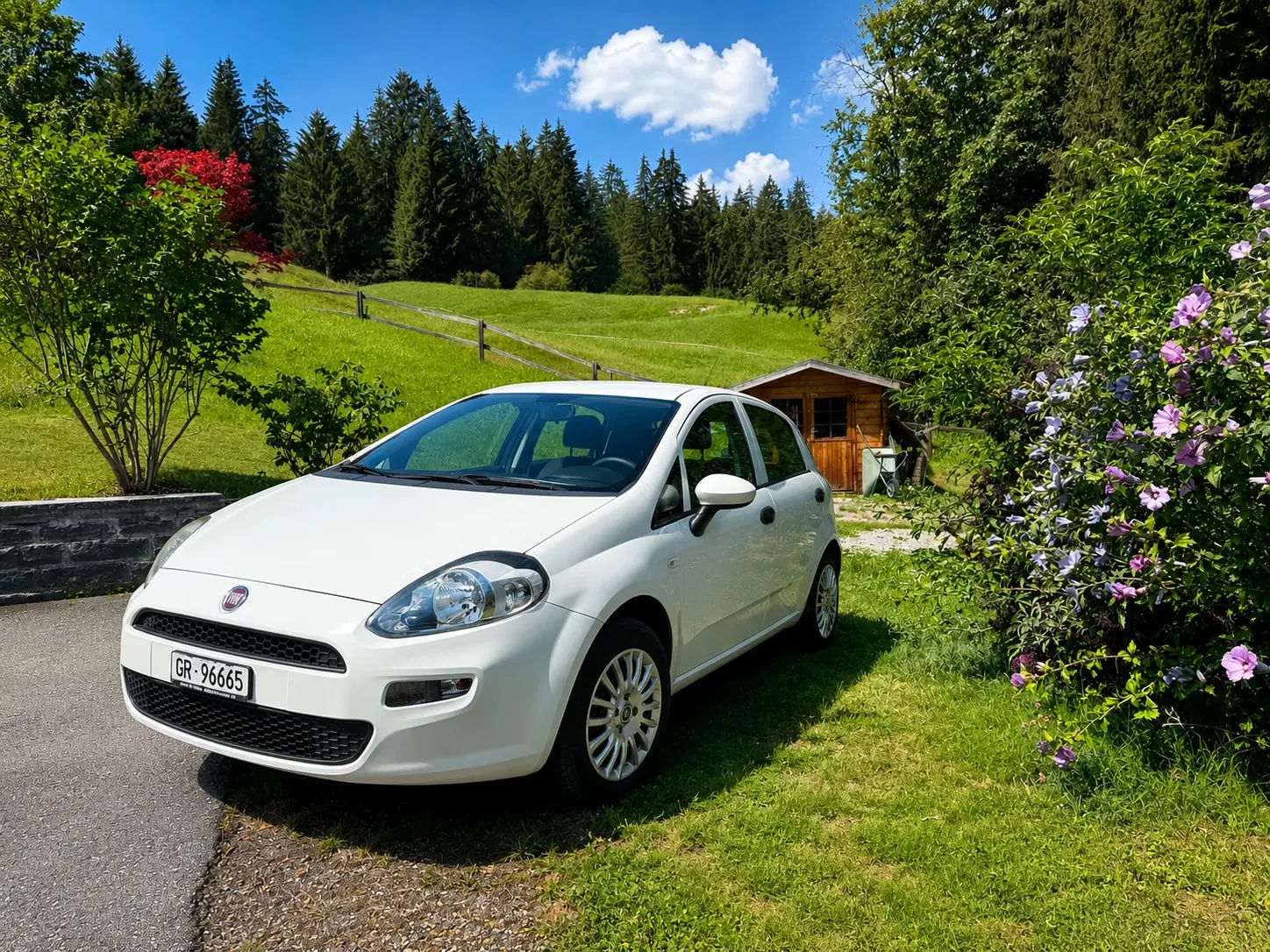 Fiat Punto 2017 occasion Flims — 2