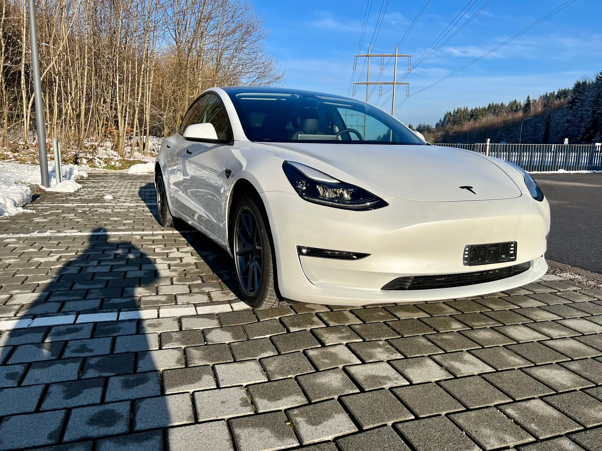 Tesla Model 3 2022 occasion Adliswil — 1