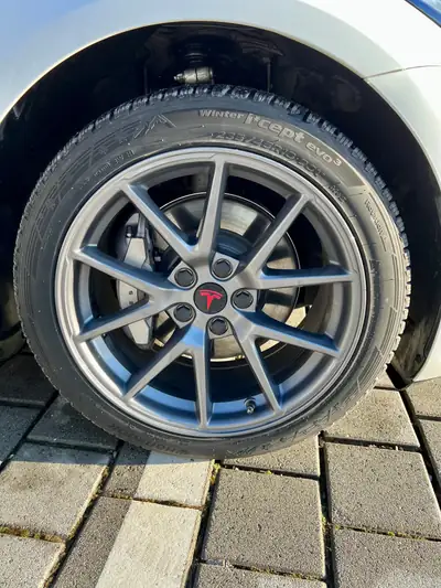 Tesla Model 3 Long Range Dual Motor AWD — Performance électrique et autonomie supérieure — détail