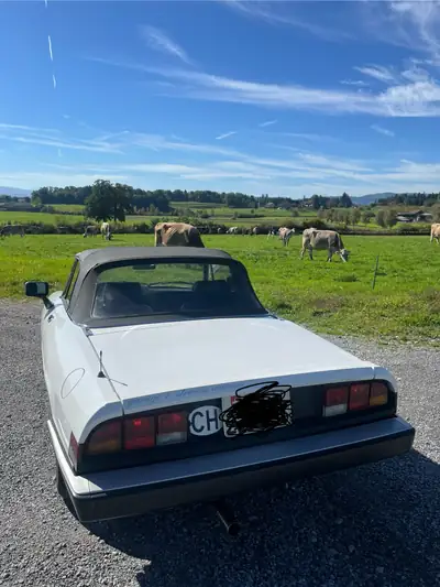 Alfa Romeo Spider 2.0 — Cabriolet italien 1988, 115 ch et charme intemporel — intérieur