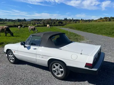 Alfa Romeo Spider 2.0 — Cabriolet italien 1988, 115 ch et charme intemporel — détail