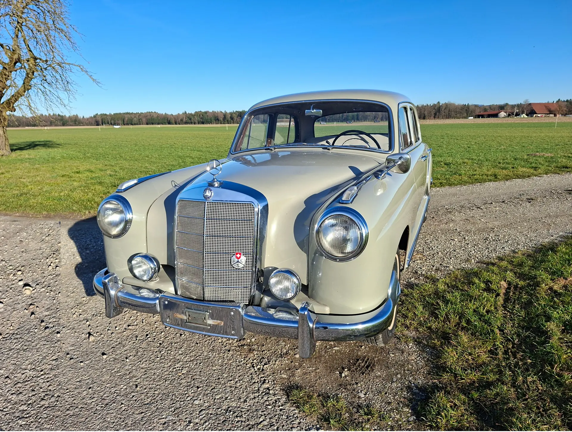 Mercedes-Benz 220 1955 occasion Krauchthal — 3