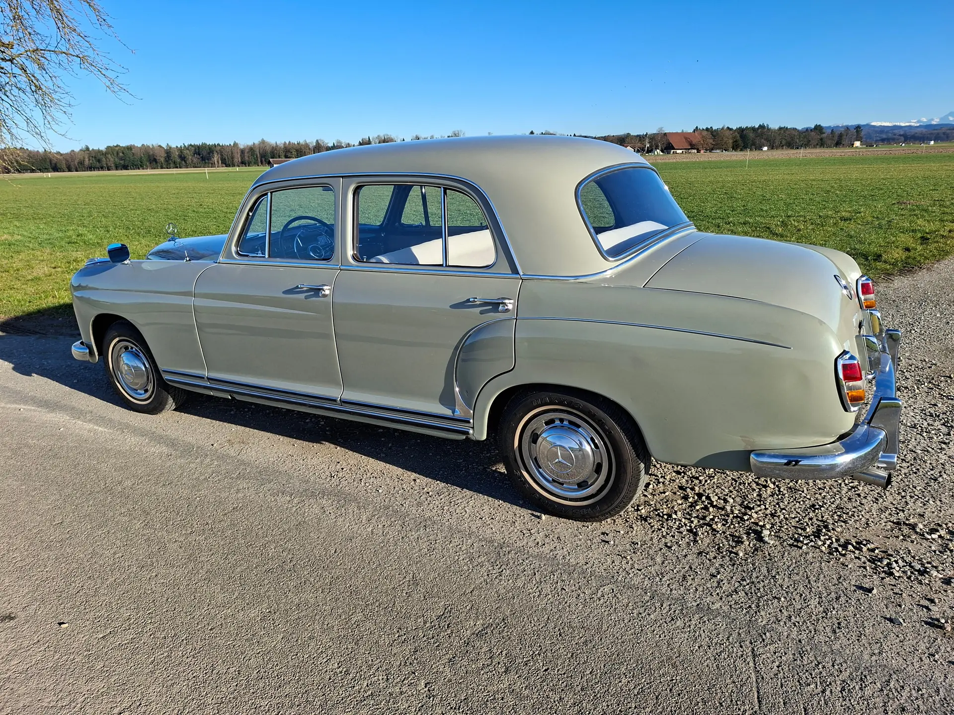 Mercedes-Benz 220 1955 occasion Krauchthal — 2