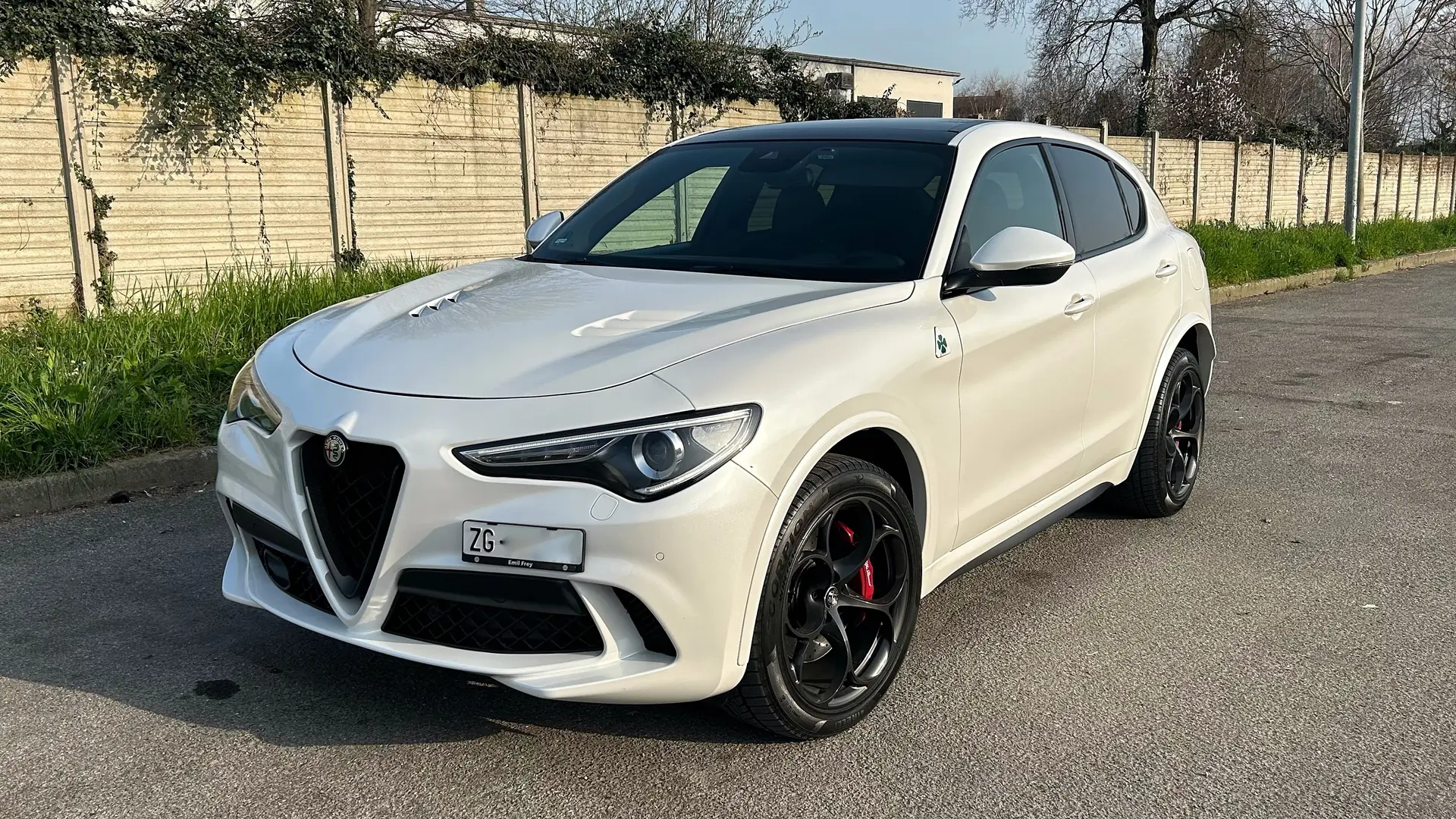 Alfa Romeo Stelvio 2018 occasion Cham — 1