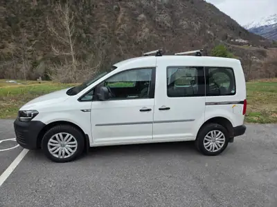 VW Caddy Alltrack 2.0 TDI 4Motion — Utilitaire robuste, traction intégrale, 310'000 km — Heckansicht