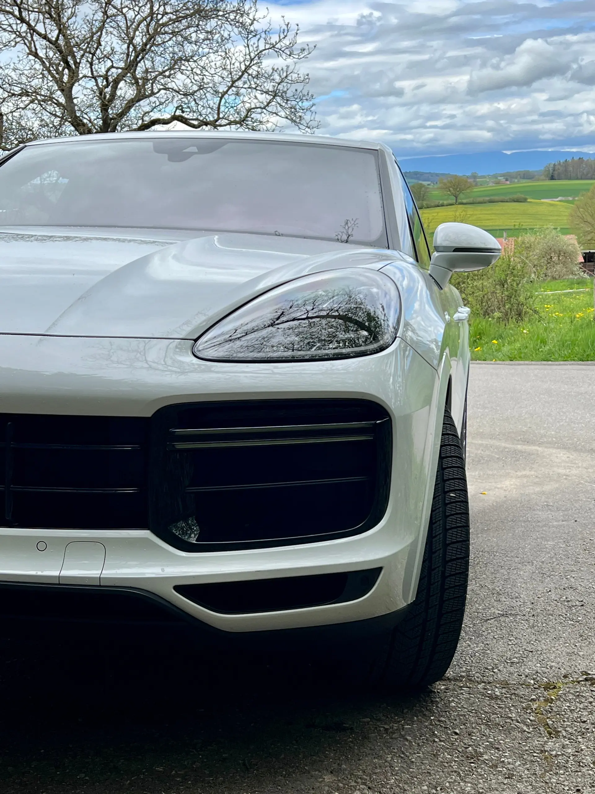 Porsche Cayenne 2019 occasion Schmitten — 5