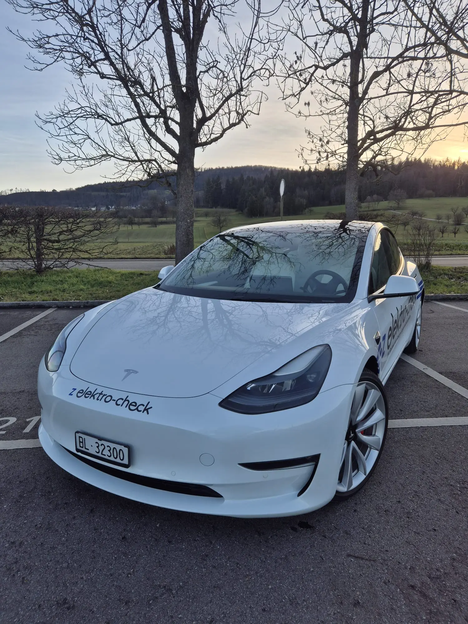 Tesla Model 3 2021 occasion Arlesheim — 2