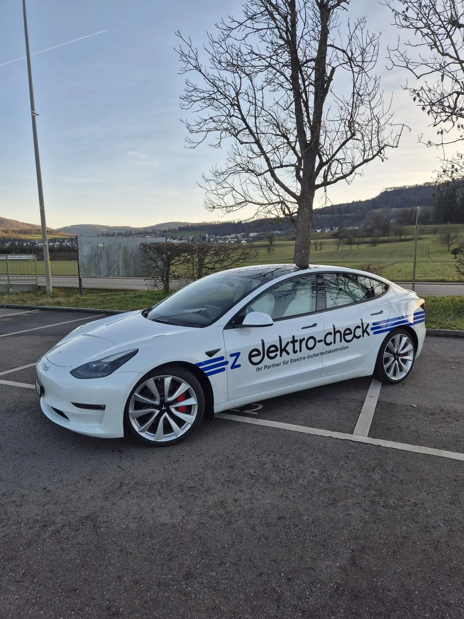 Tesla Model 3 2021 occasion Arlesheim — 5