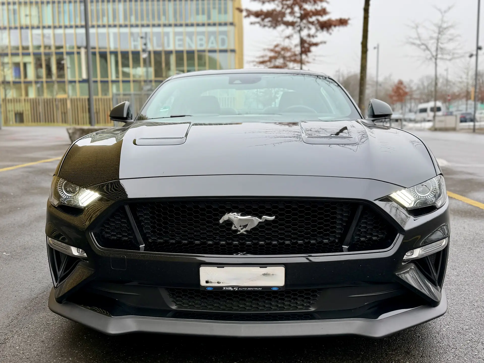 Ford Mustang 2019 occasion Luzern — 4