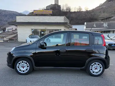 Fiat Panda 1.0 MHEV Cult — Micro-hybride économe avec four à pizza intégré — arrière