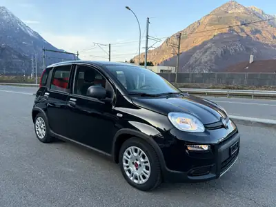 Fiat Panda 1.0 MHEV Cult — Micro-hybride économe avec four à pizza intégré — détail