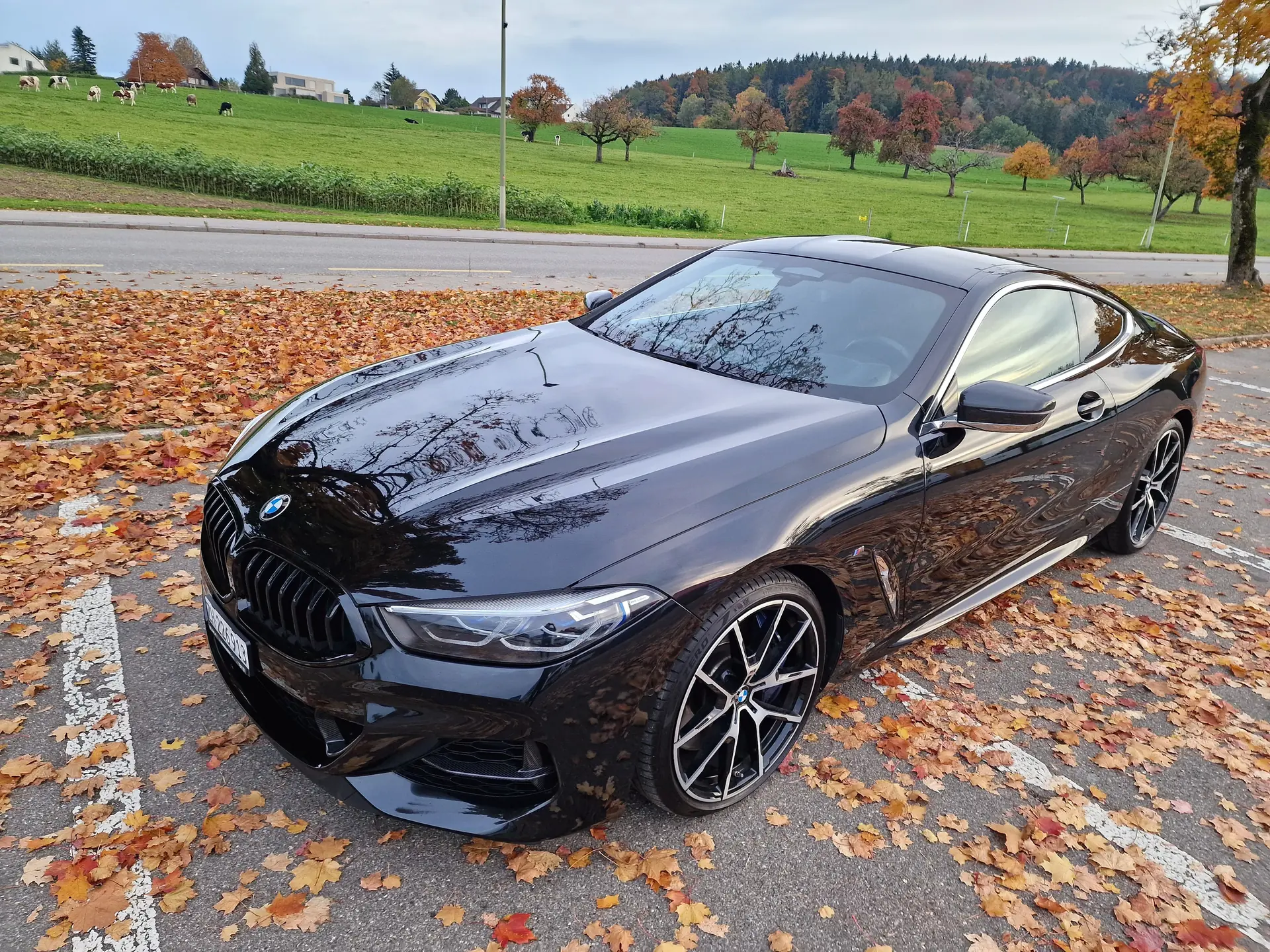 BMW M850 2018 occasion Zurich — 3