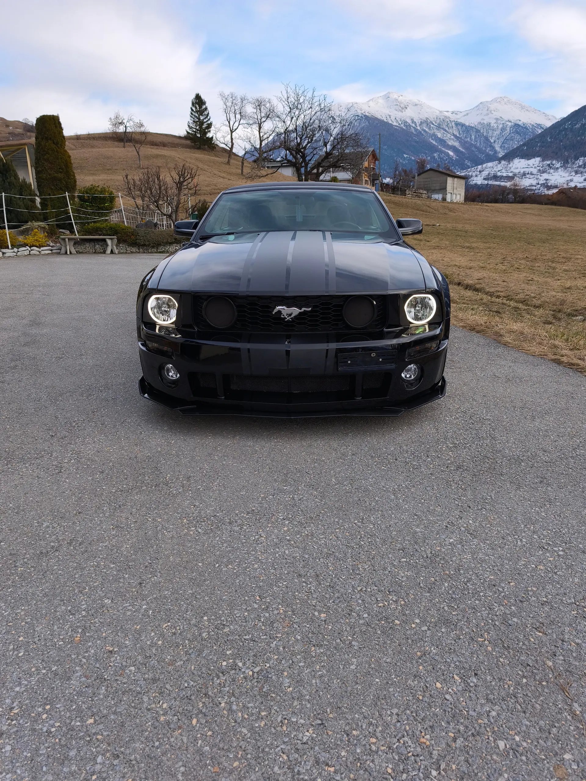 Ford Mustang 2006 occasion Susten — 2