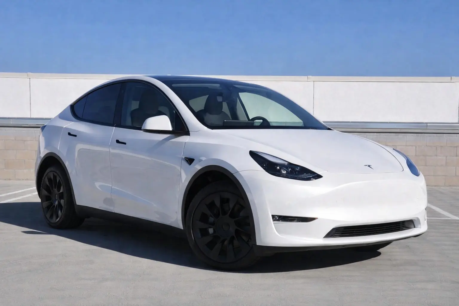 Tesla Model Y 2023 occasion Genève — 2