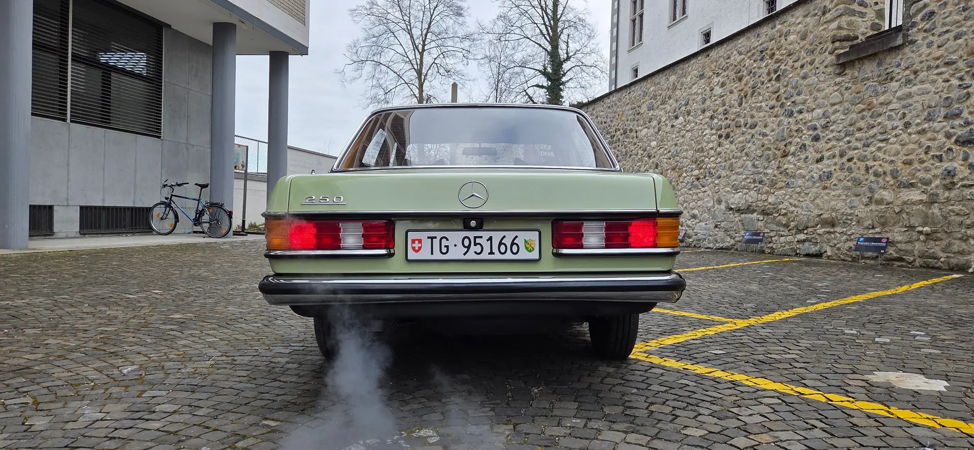 Mercedes-Benz 250 1979 occasion Arbon — 2