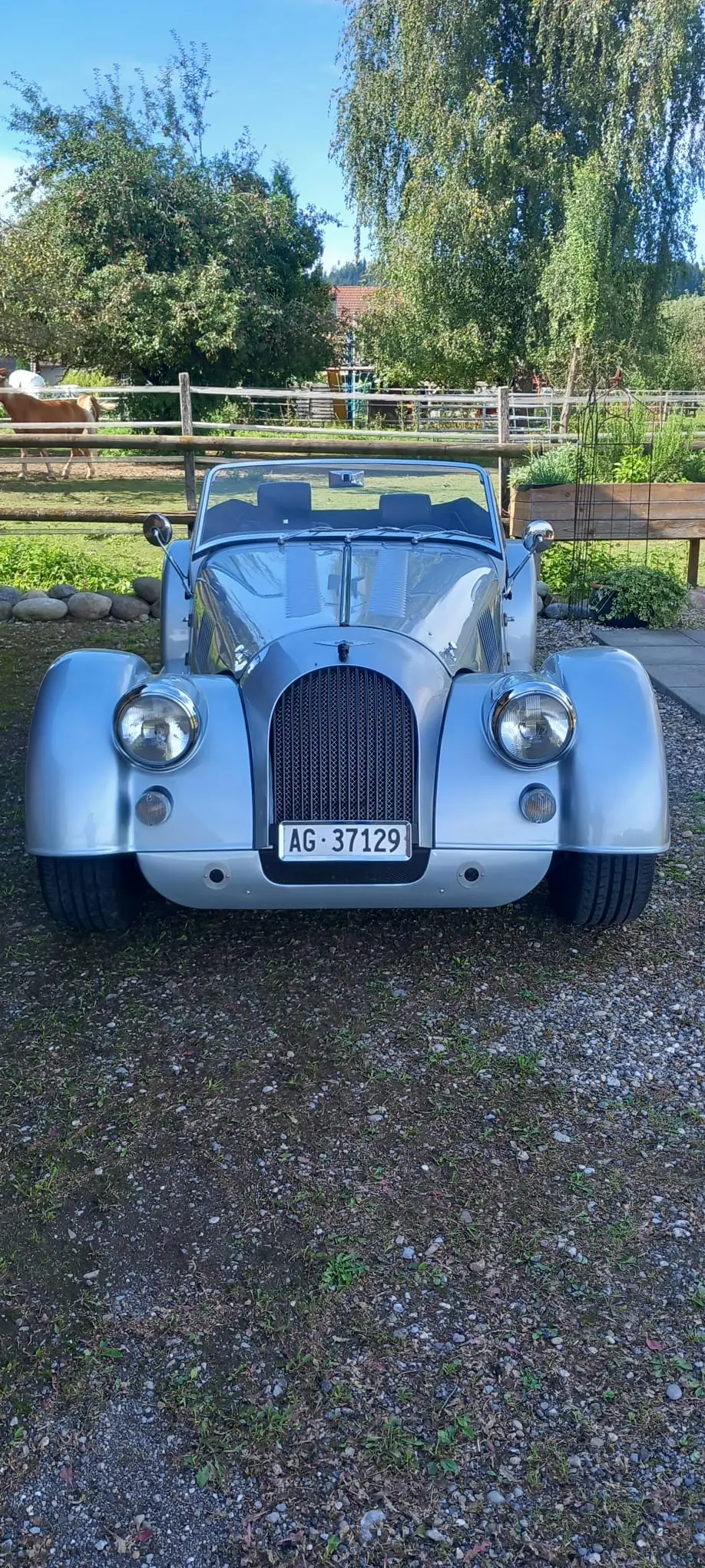 Morgan Plus 4 Swisspack — Roadster britannique authentique, 24'000 km seulement — vista esterna