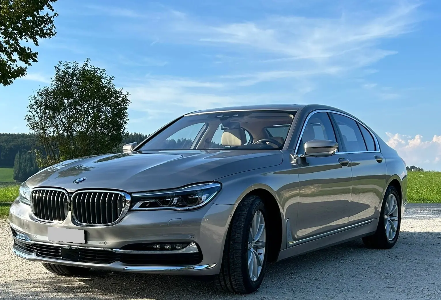 BMW 730 2017 occasion Winterthur — 2