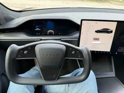 Tesla Model S 100 kWh Plaid — Performance électrique extrême, 60'000 km seulement — Detail