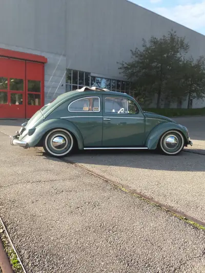 VW Käfer 1957 Faltdach Ovali — Légende automobile entièrement restaurée — Seitenansicht