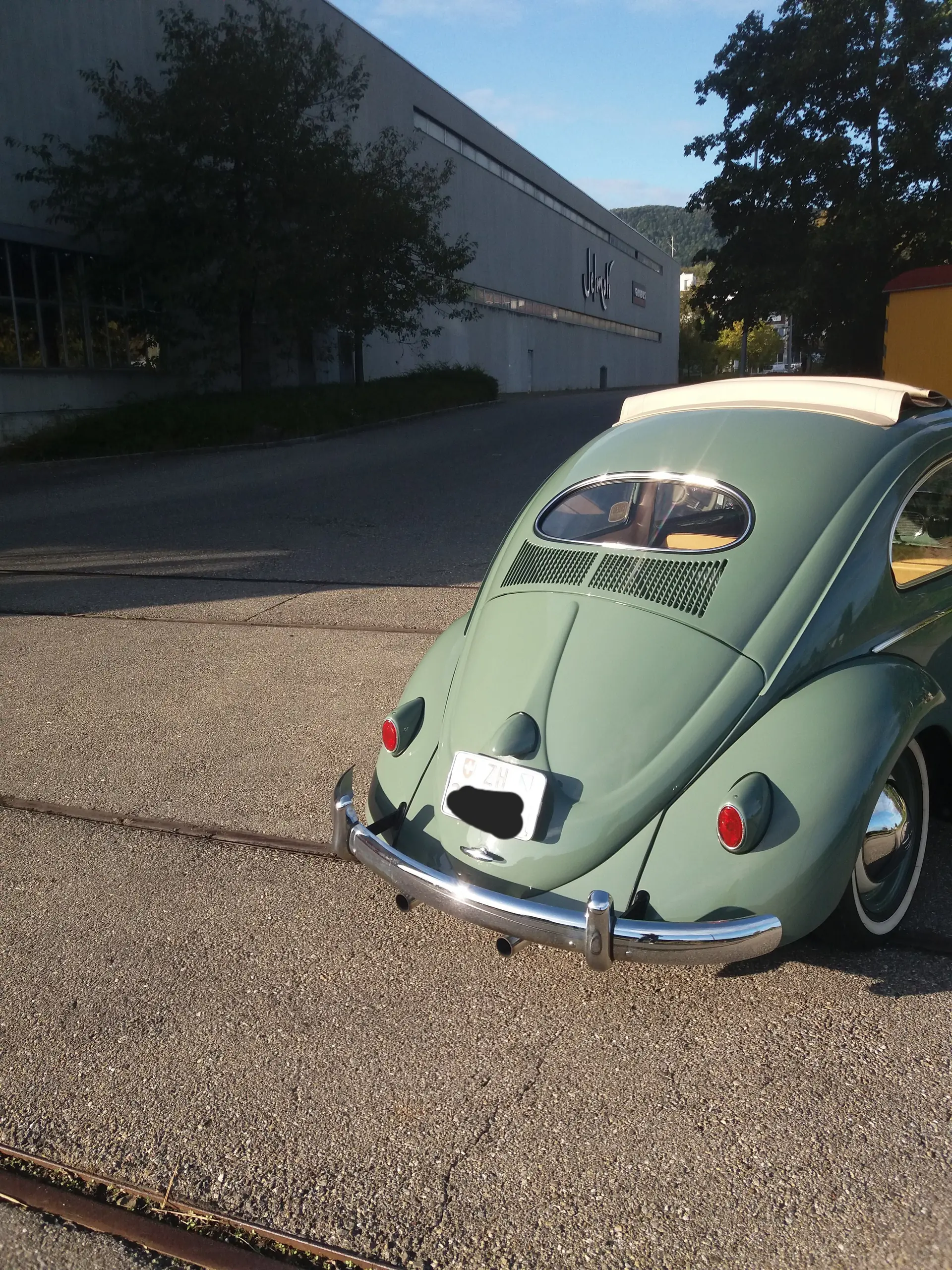 Volkswagen Kafer 1957 occasion Boppelsen — 4