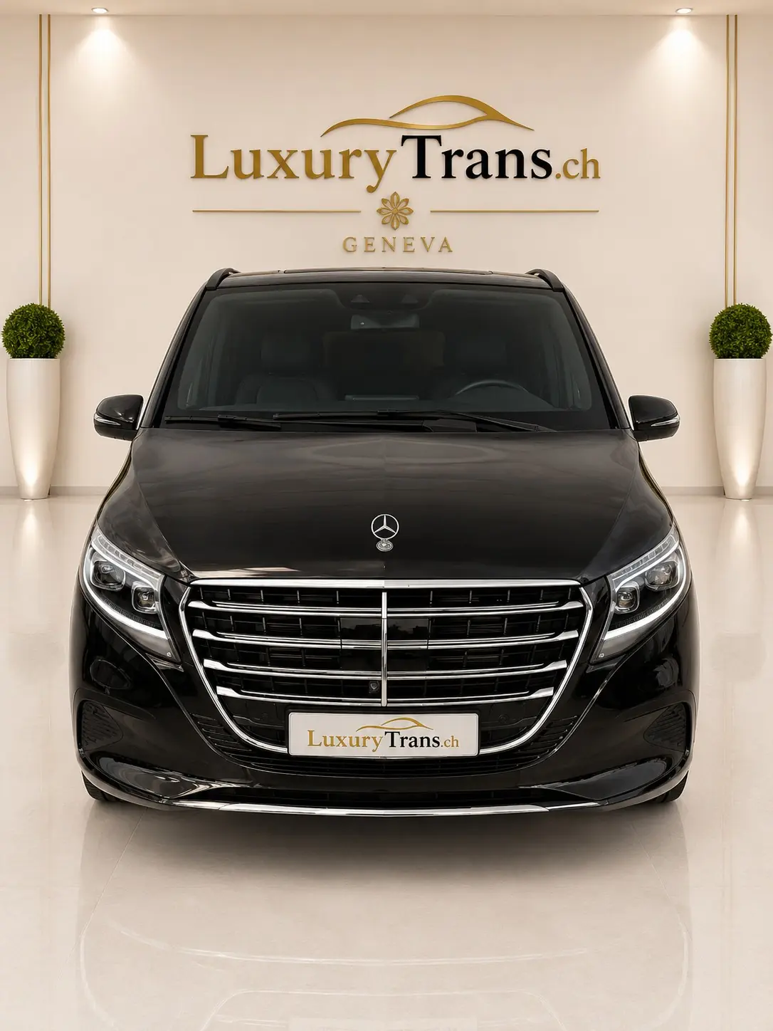 Mercedes-Benz Classe V 2025 occasion Dully — 2