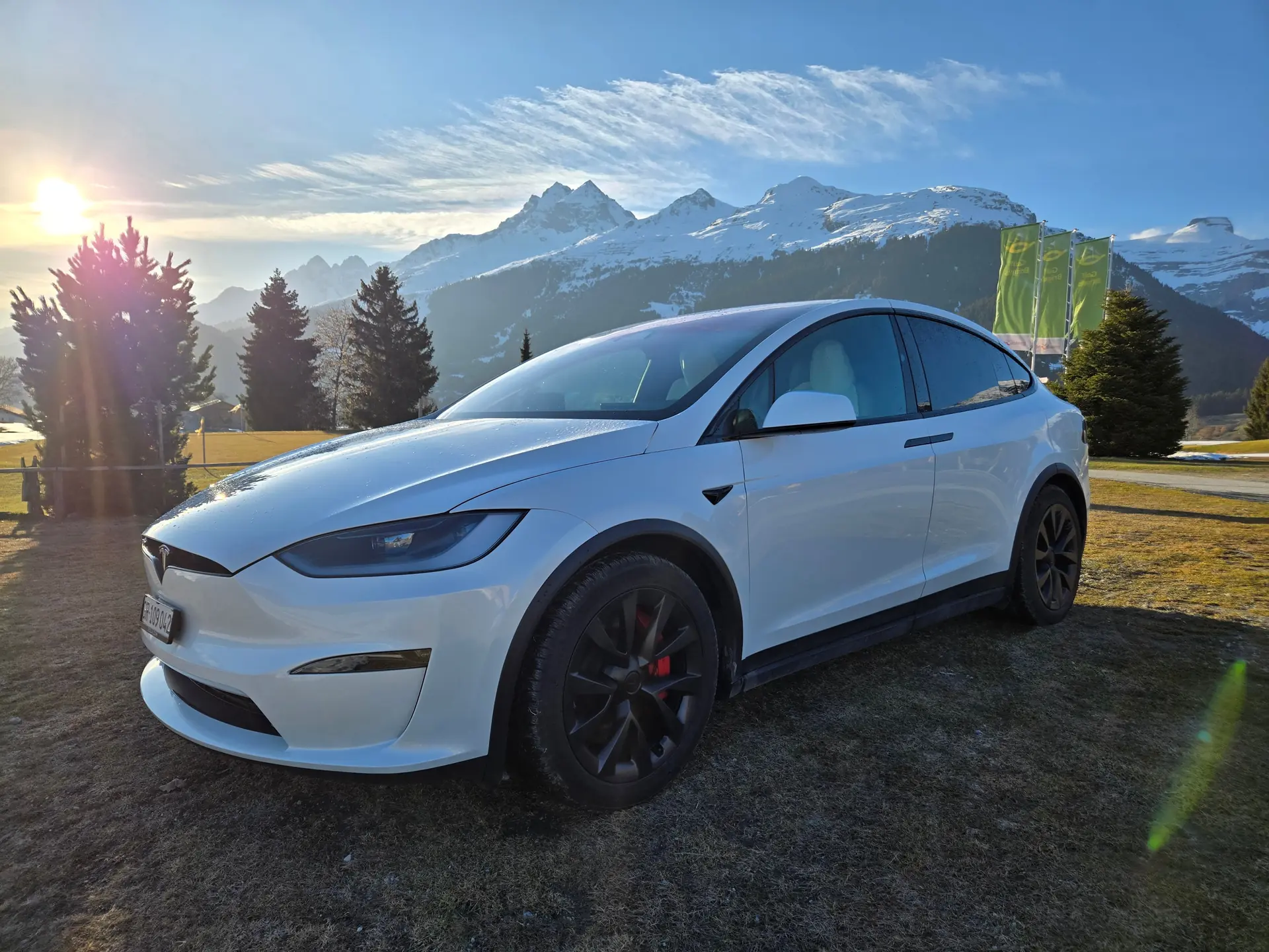Tesla Model X 2023 occasion Brigels — 2