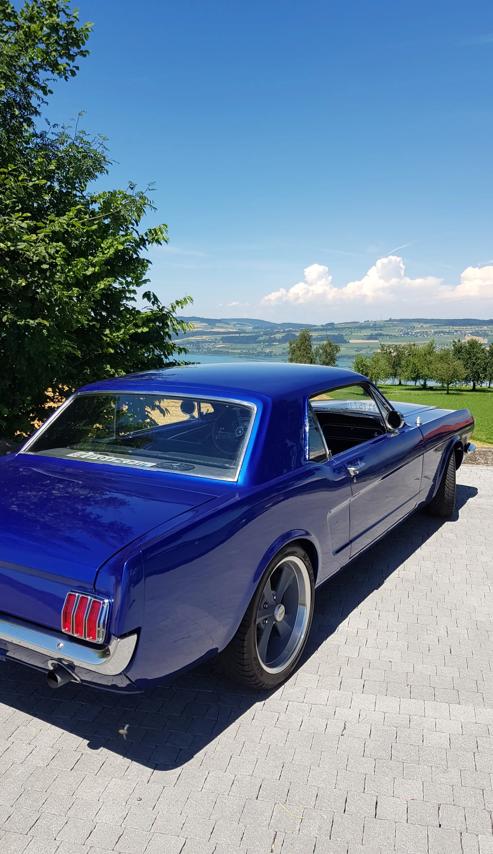 Ford Mustang 1966 occasion Oberkirch — 5