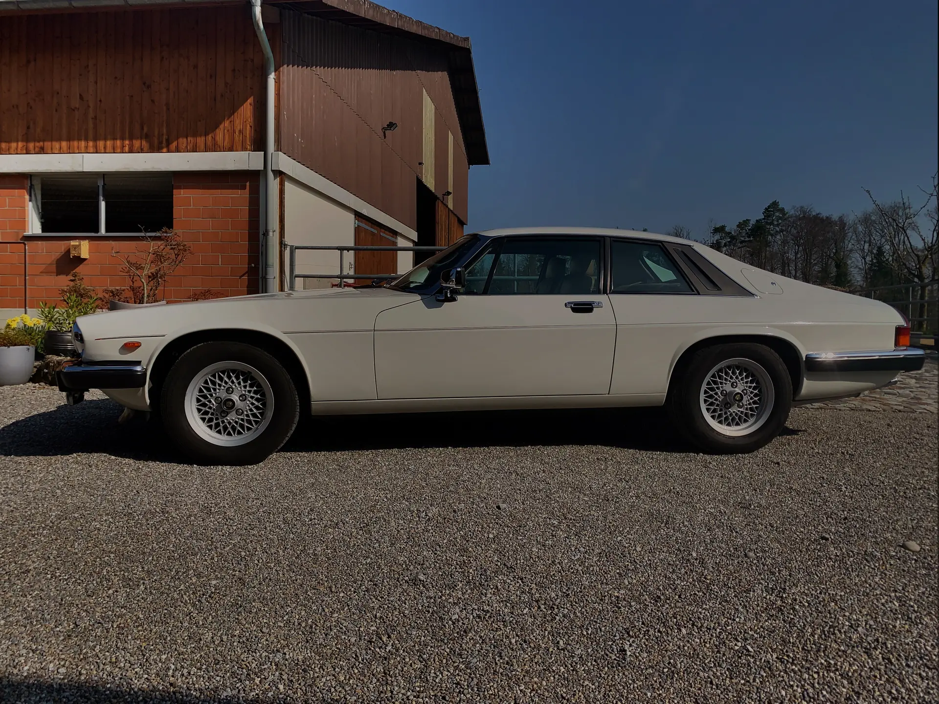 Jaguar Xj S 1990 occasion Eglisau — 2