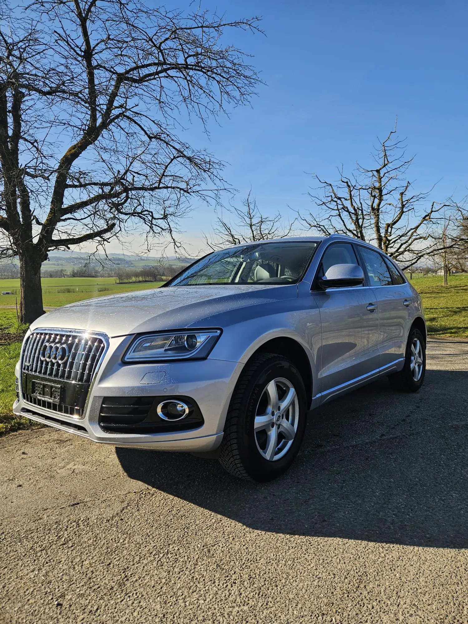 Audi Q5 2015 occasion Ottenbach — 2