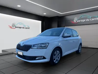 Skoda Fabia 1.0 TSI Ambition DSG — Citadine fiable, garantie 12 mois, historique sans sinistre — arrière