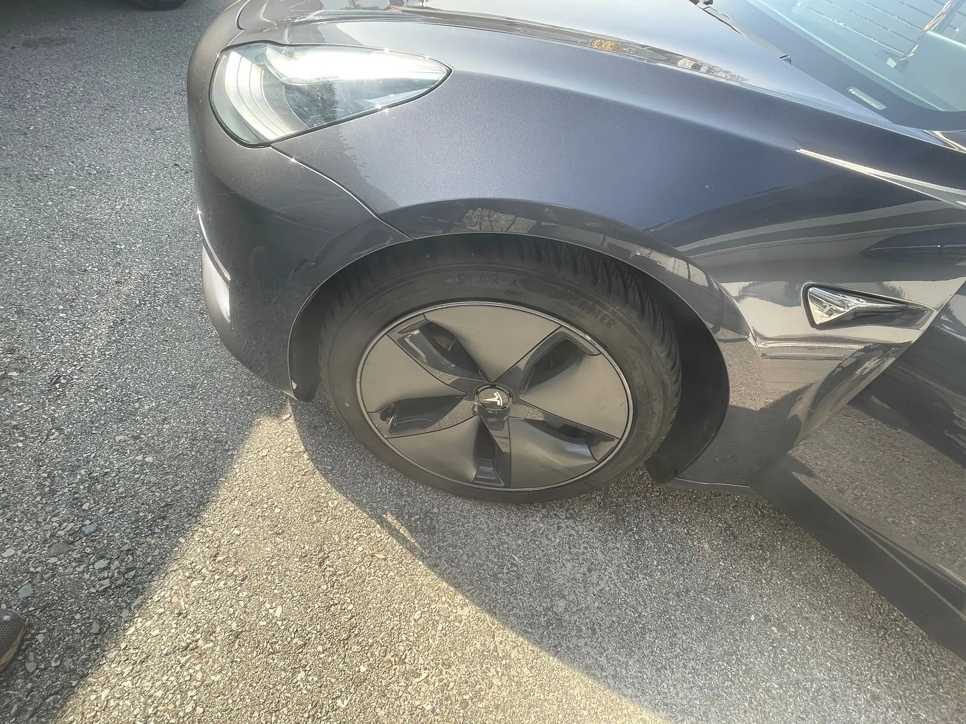 Tesla Model 3 2019 occasion Morbio Inferiore — 3
