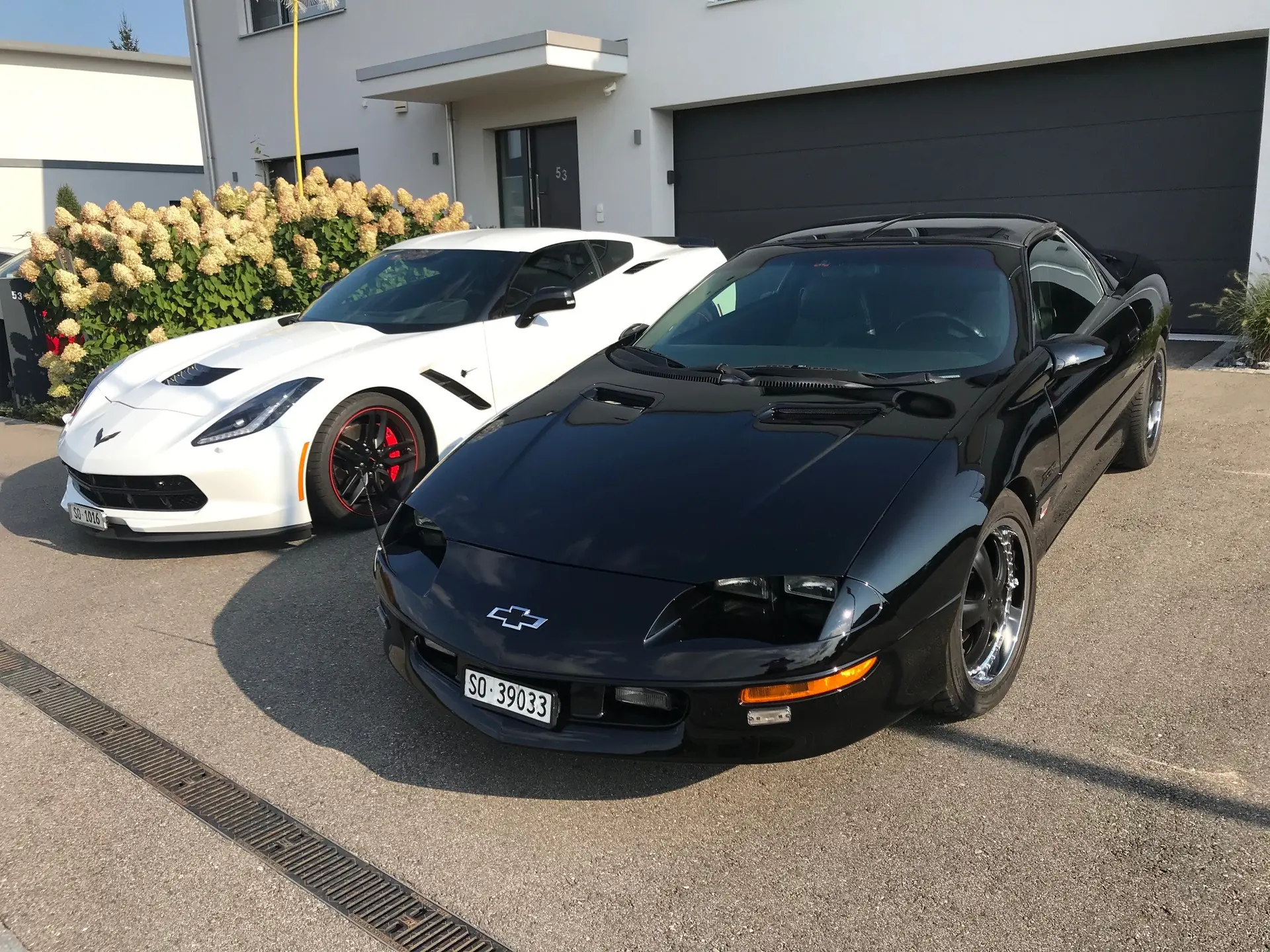 Chevrolet Camaro Z-28 Targa « Dale Earnhardt » 1995 — Muscle-car iconique, état impeccable