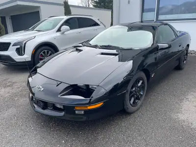 Chevrolet Camaro Z-28 Targa « Dale Earnhardt » 1995 — Muscle-car iconique, état impeccable — Heckansicht